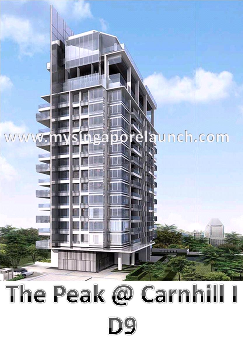 The Peak @ Cairnhill I